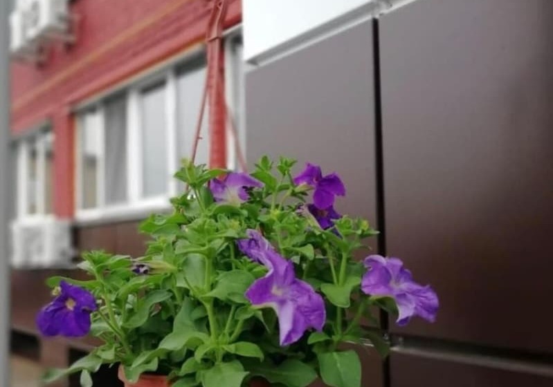 Business Hotel Voskresensk