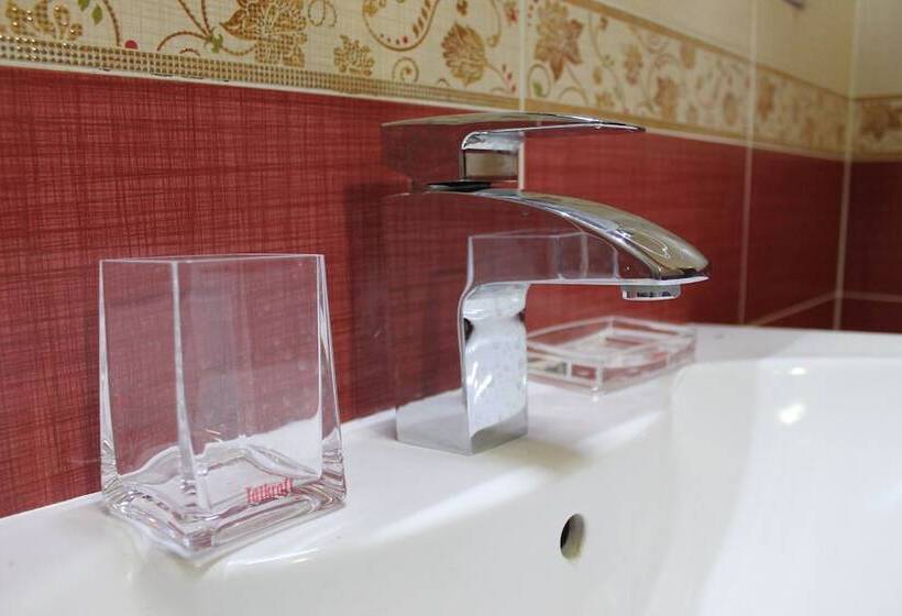 בית מלון כפרי Ani