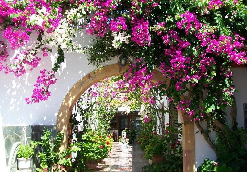 Отель Australis