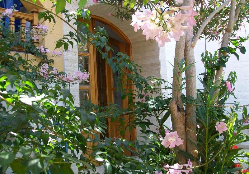 Отель Australis