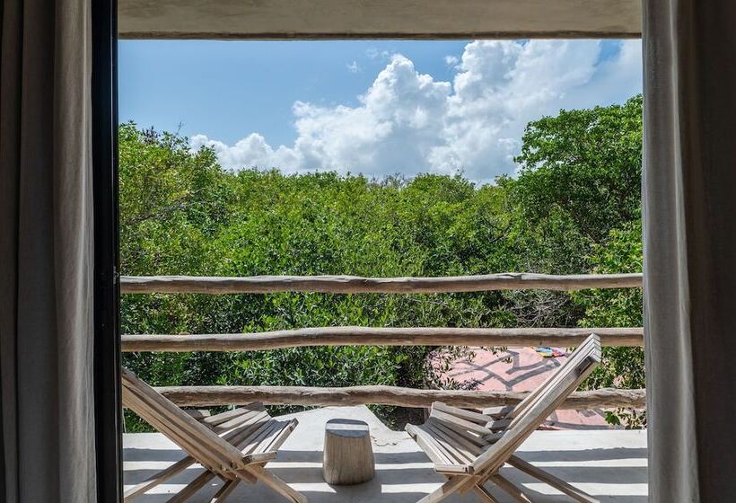 호텔 Eco Rooms Casa Coyote