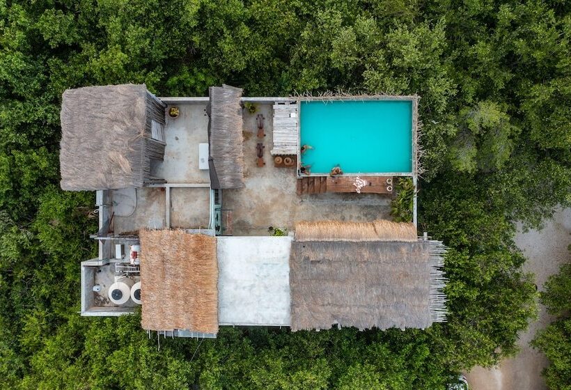 호텔 Eco Rooms Casa Coyote