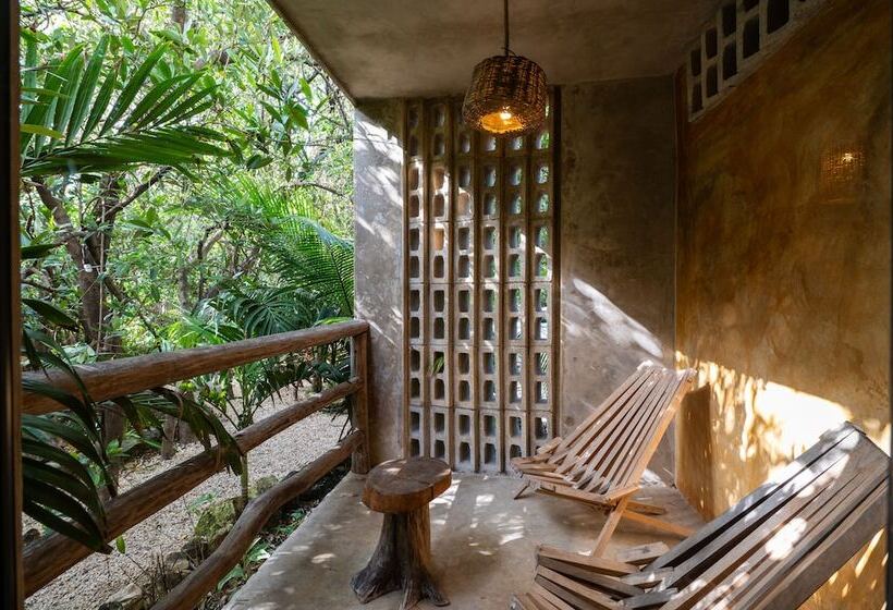 호텔 Eco Rooms Casa Coyote