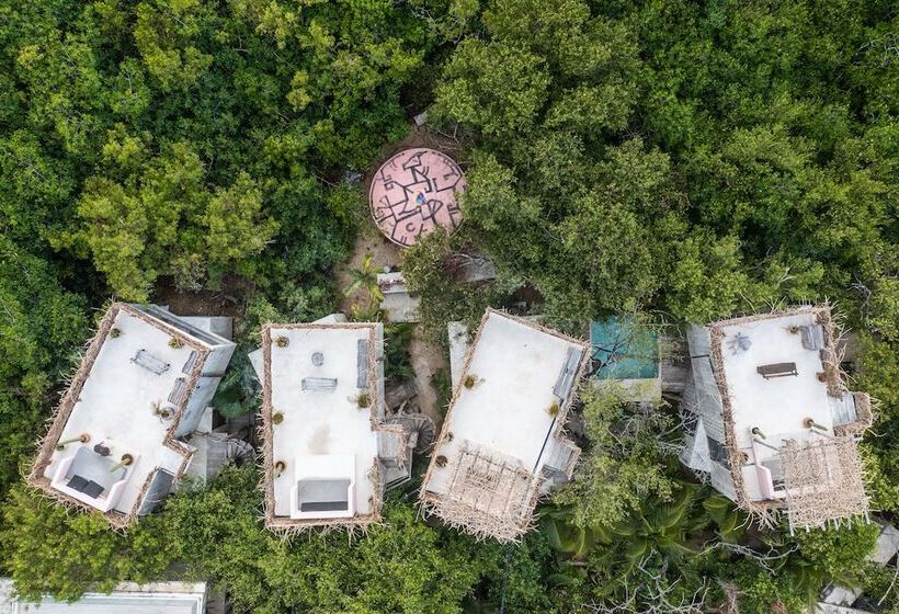 호텔 Eco Rooms Casa Coyote