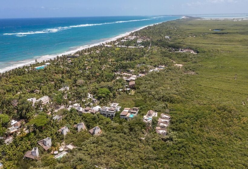 호텔 Eco Rooms Casa Coyote