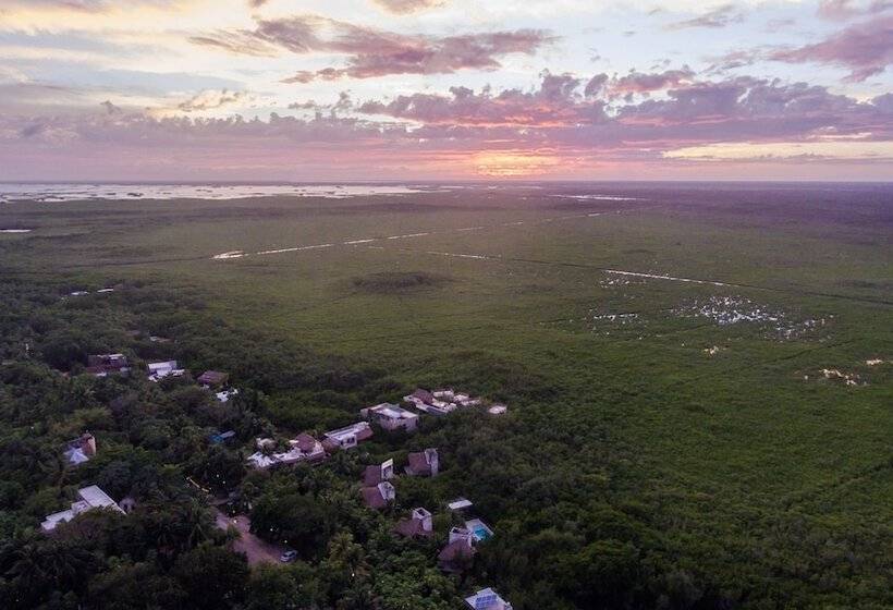 호텔 Eco Rooms Casa Coyote