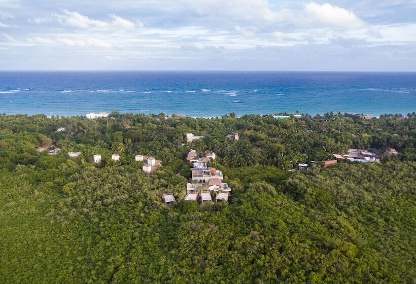 호텔 Eco Rooms Casa Coyote