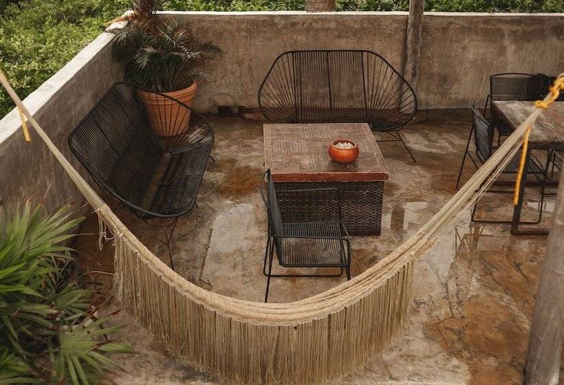 호텔 Eco Rooms Casa Coyote