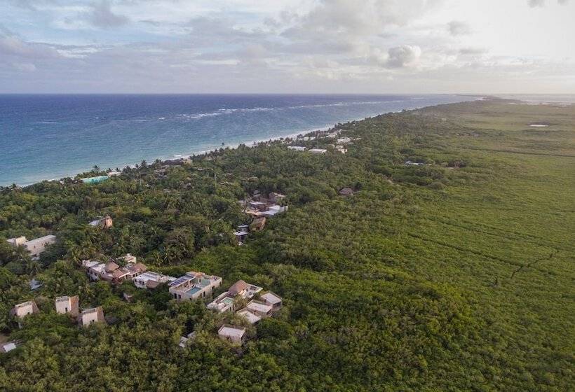 호텔 Eco Rooms Casa Coyote