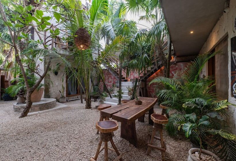 호텔 Eco Rooms Casa Coyote