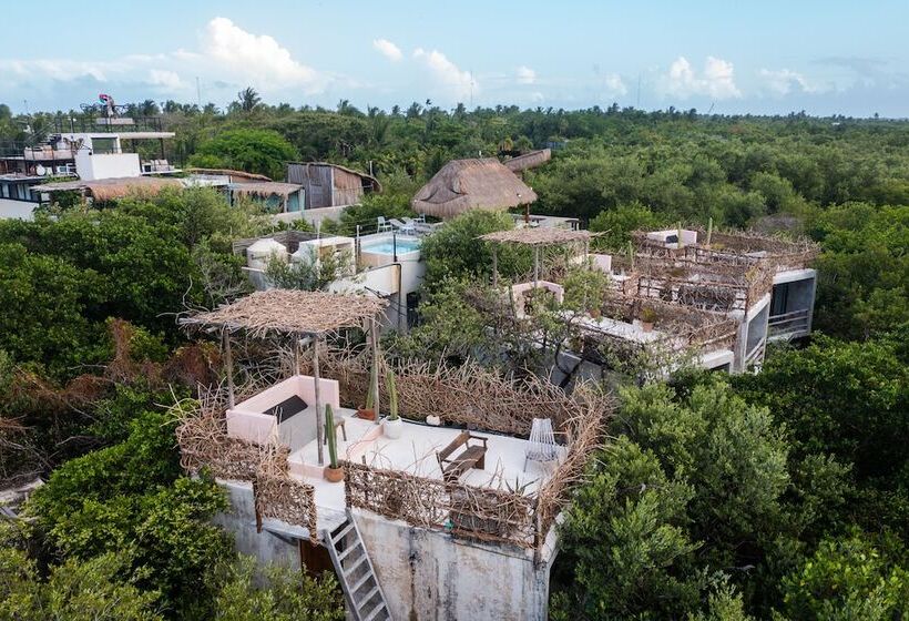 호텔 Eco Rooms Casa Coyote