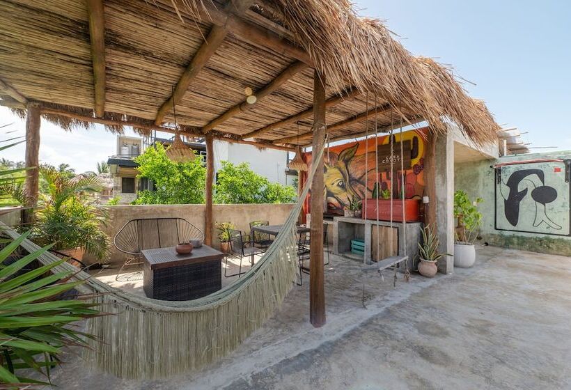 호텔 Eco Rooms Casa Coyote