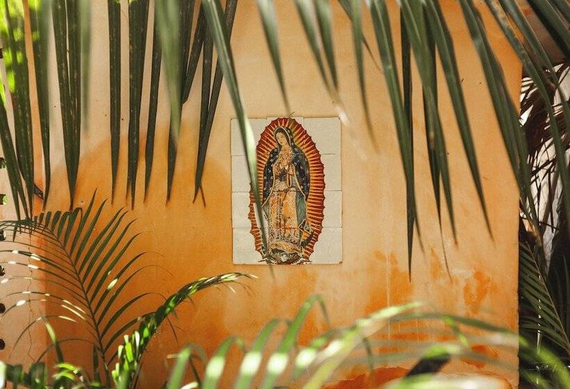 호텔 Eco Rooms Casa Coyote