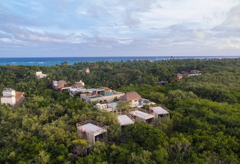 호텔 Eco Rooms Casa Coyote