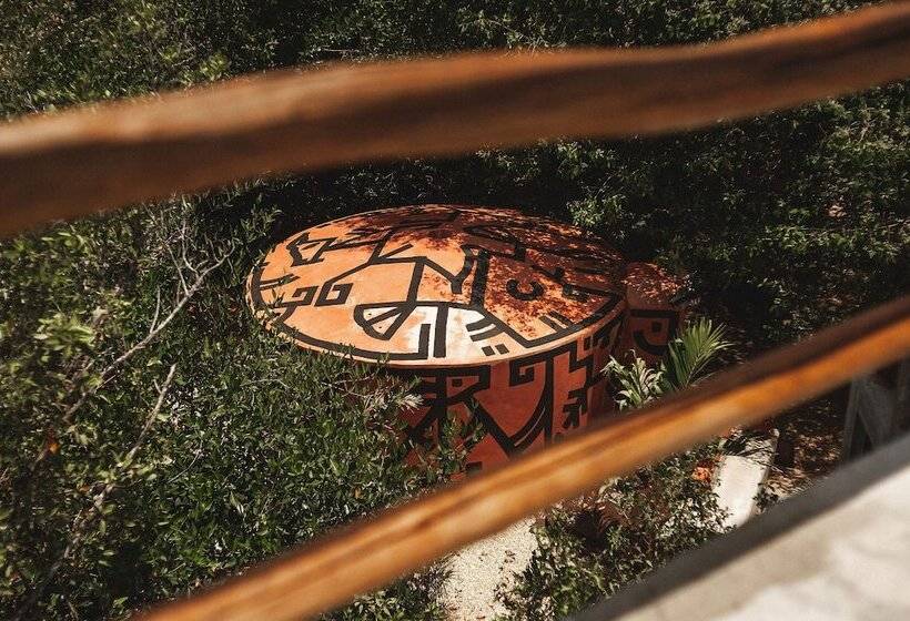 호텔 Eco Rooms Casa Coyote