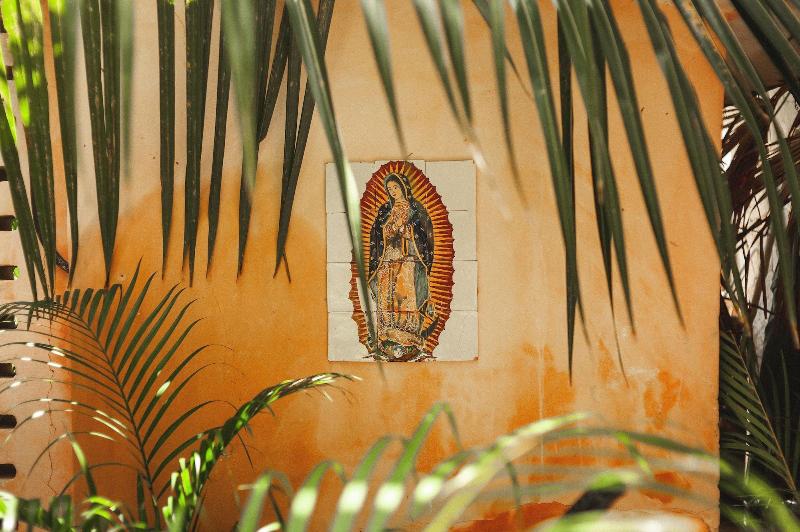 호텔 Eco Rooms Casa Coyote