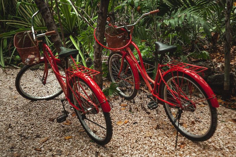 호텔 Eco Rooms Casa Coyote