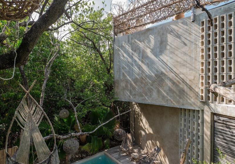 호텔 Eco Rooms Casa Coyote