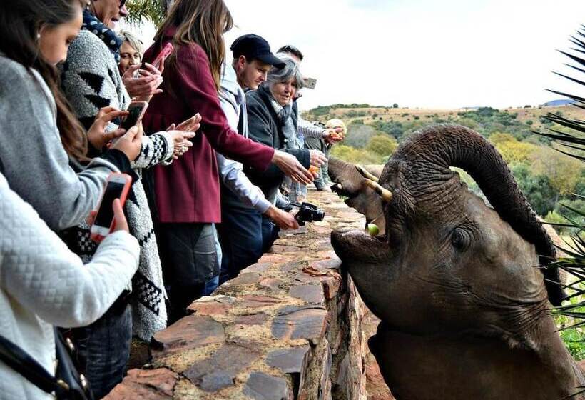 ホテル Glen Afric Country Lodge