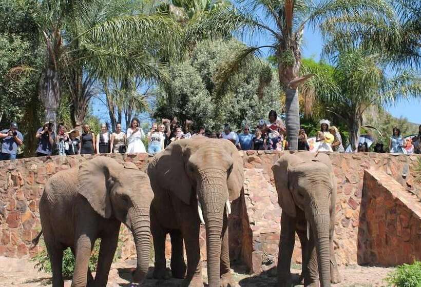 ホテル Glen Afric Country Lodge