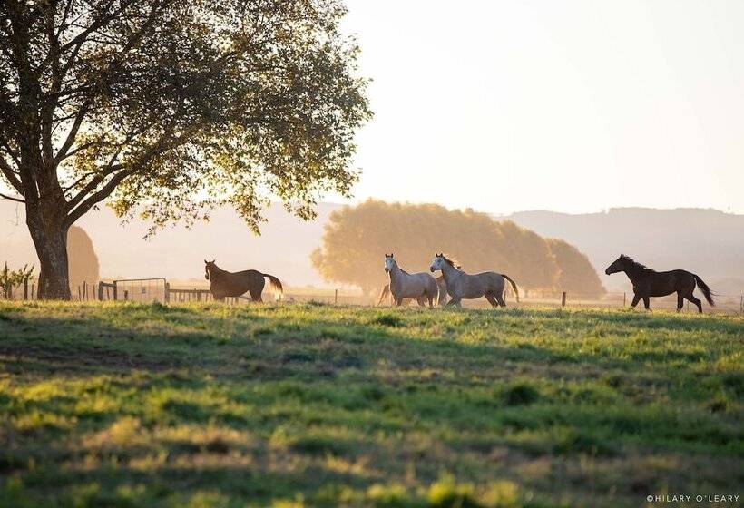 בית מלון כפרי Hartford House