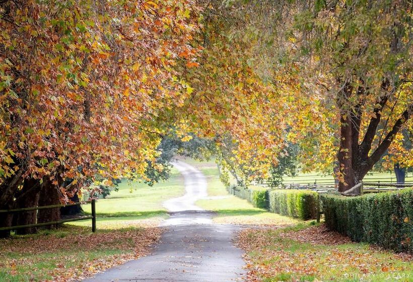 בית מלון כפרי Hartford House