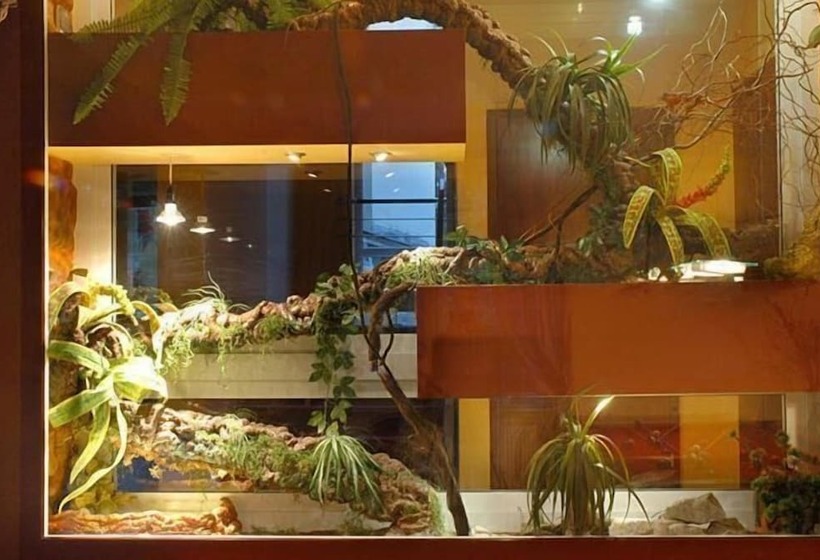 Отель Kristina Willa & Spa