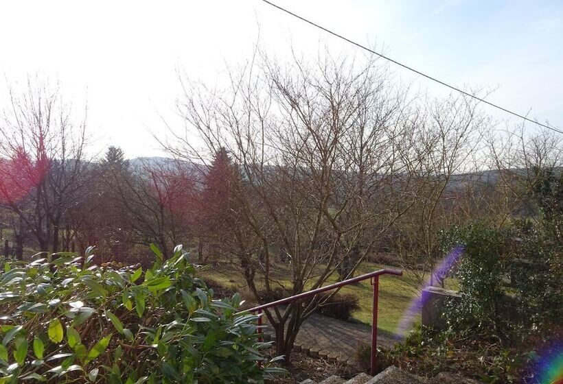 בית מלון כפרי Pension Schlossgarten