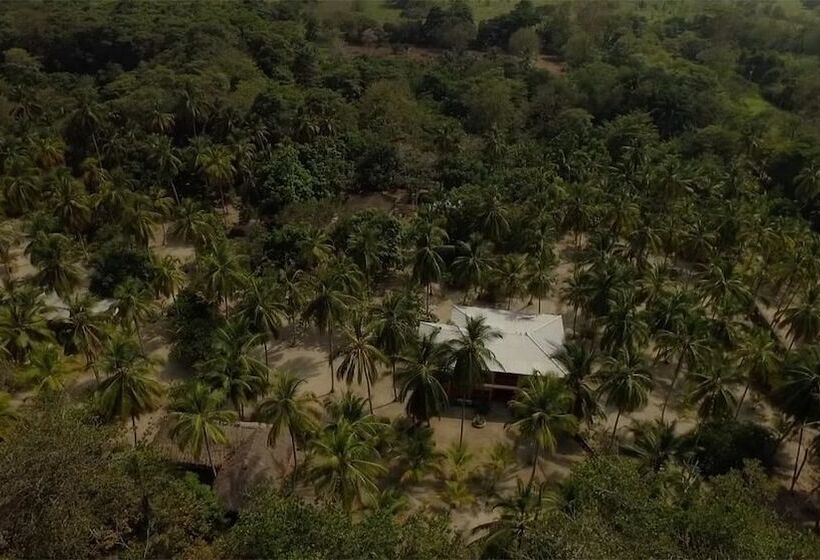 Отель Playa Mareygua Hostal