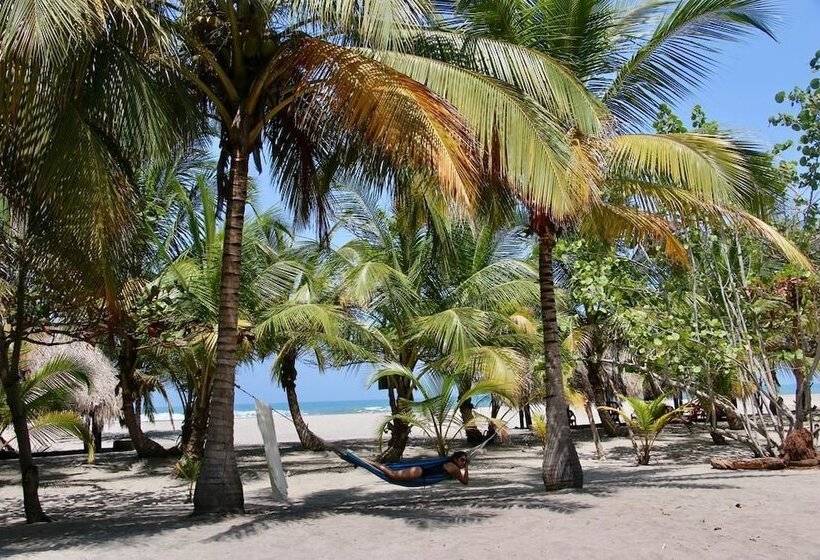 Отель Playa Mareygua Hostal