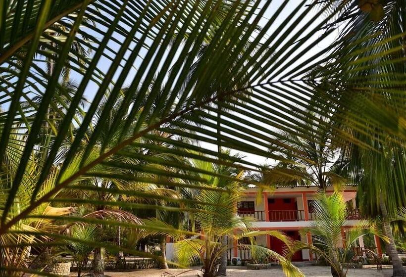 Отель Playa Mareygua Hostal