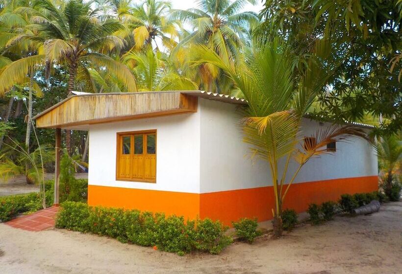 Отель Playa Mareygua Hostal