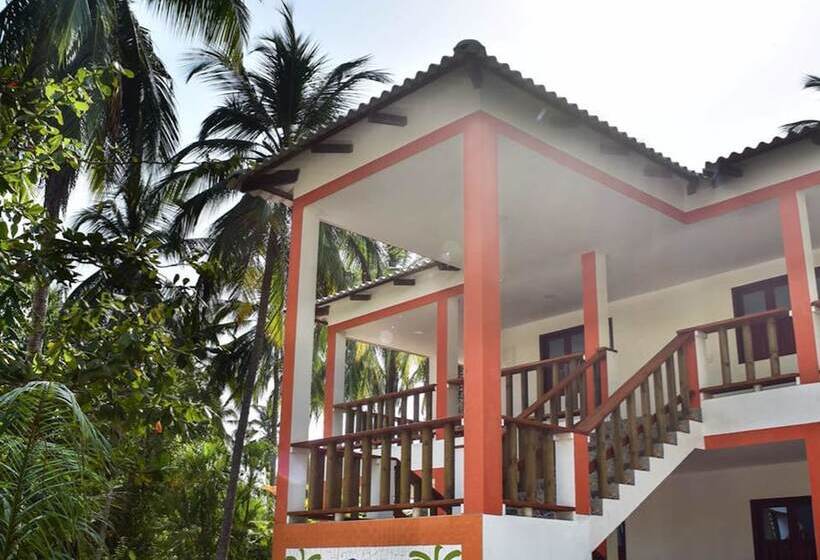 Отель Playa Mareygua Hostal