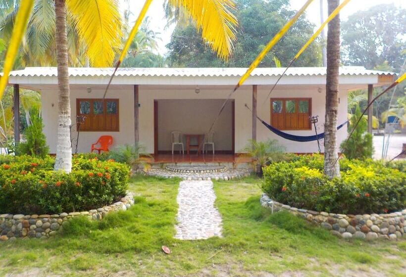 Отель Playa Mareygua Hostal