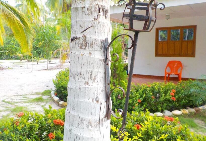 Отель Playa Mareygua Hostal