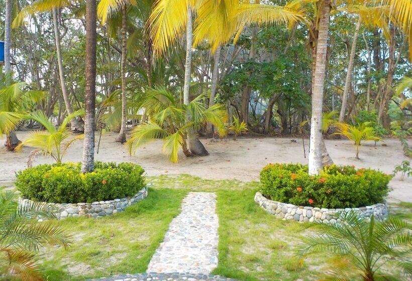 Отель Playa Mareygua Hostal