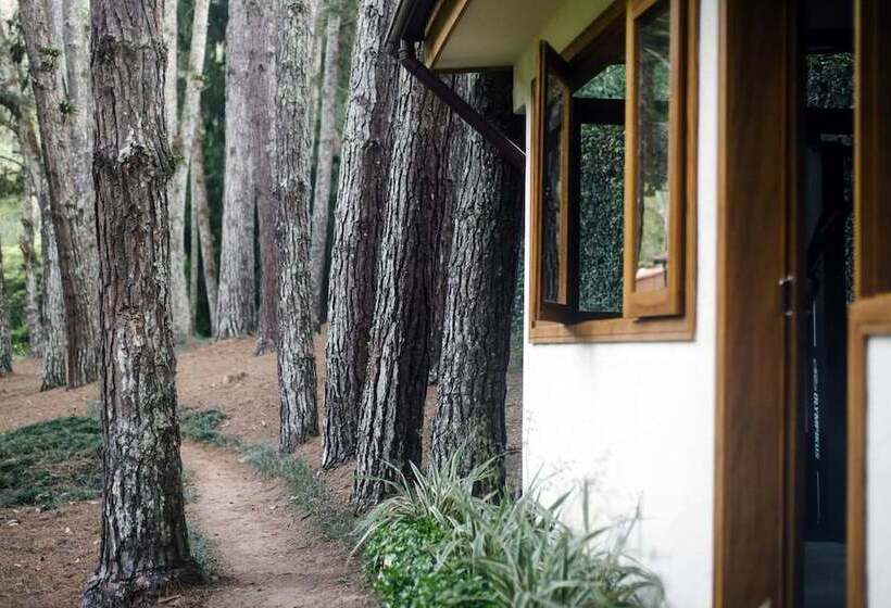 בית מלון כפרי Pousada Tucano Do Cuiabá