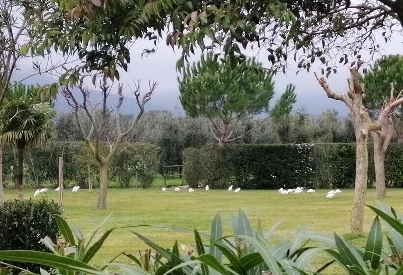 田舎風ホテル Agriturismo Bocci