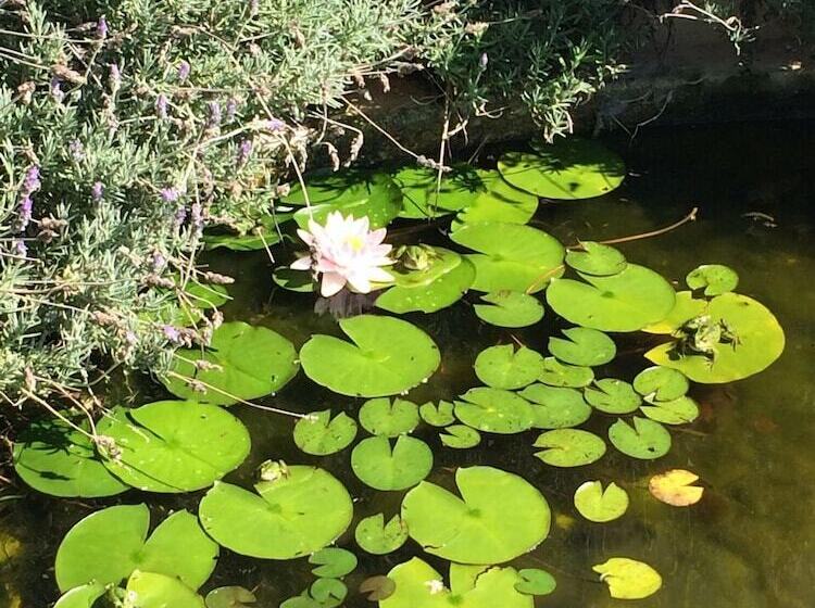 فندق ريفى Masseria Pilano