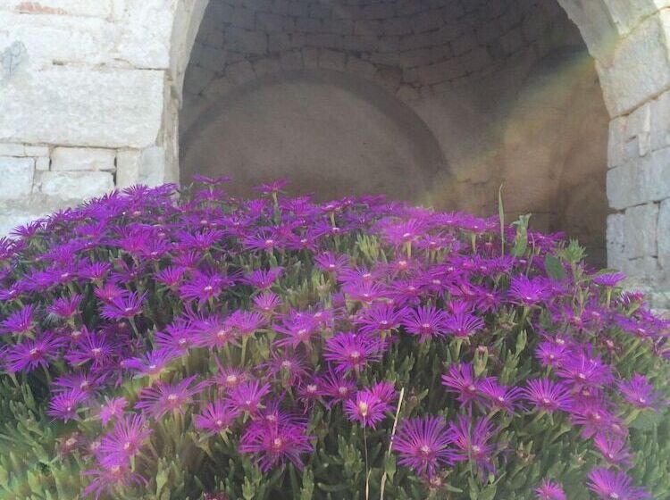 فندق ريفى Masseria Pilano