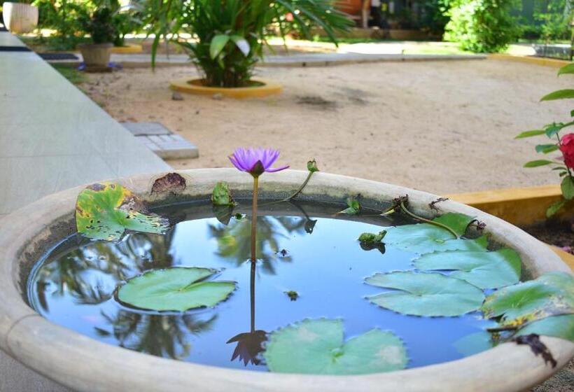 בית מלון כפרי Thambili Cabanas