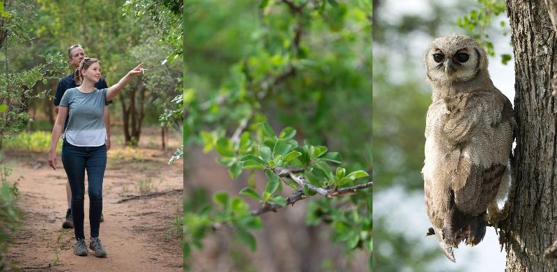 Отель Twiga Travel