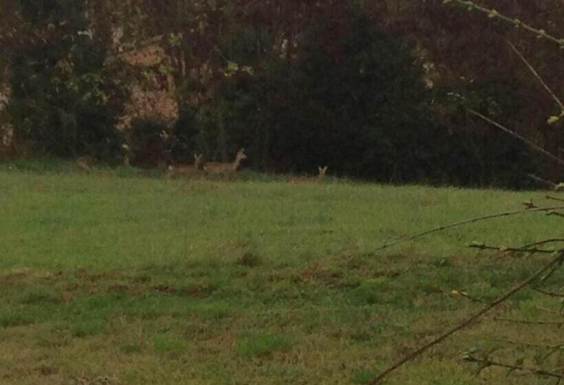 Il Podere Degli Artisti