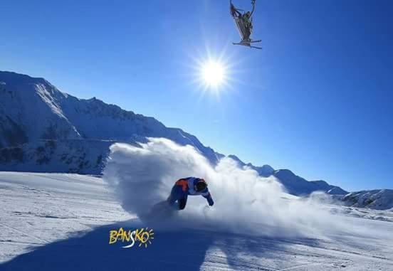 פנסיון Guest House Lila