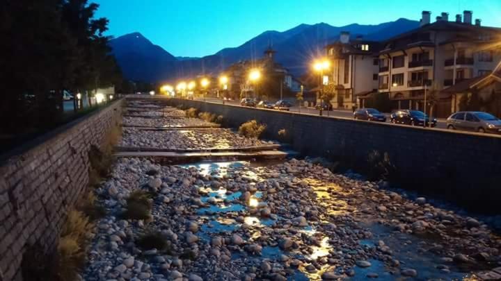 פנסיון Guest House Lila