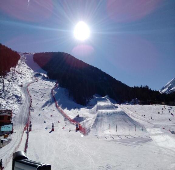 פנסיון Guest House Lila