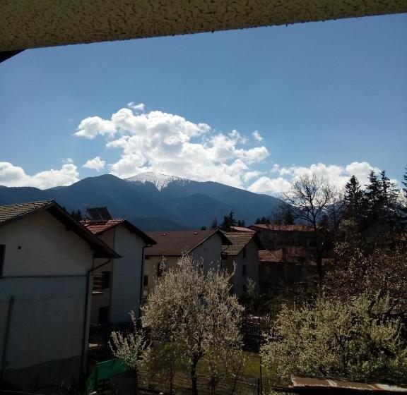 פנסיון Guest House Lila