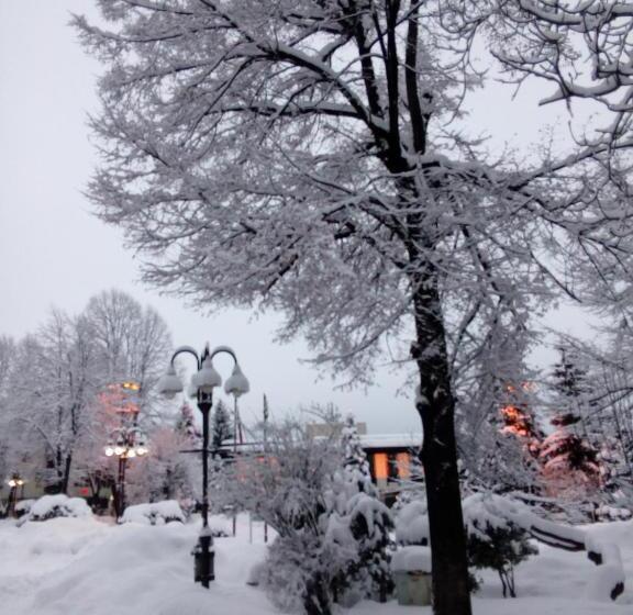 פנסיון Guest House Lila