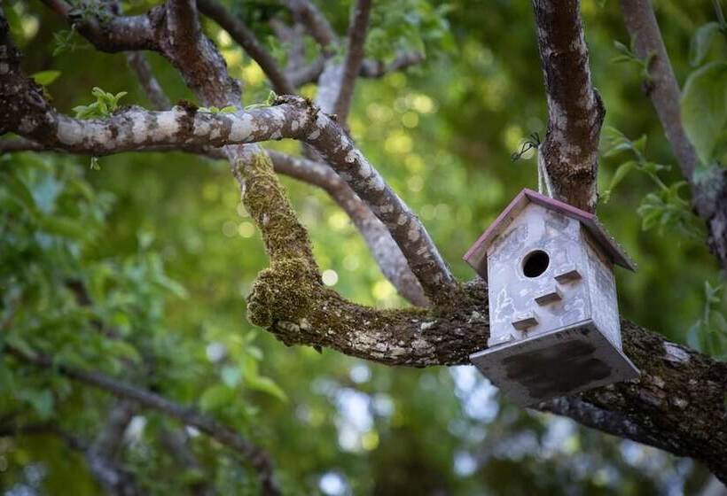 펜션 Quinta Da Pousada Casa De Campo