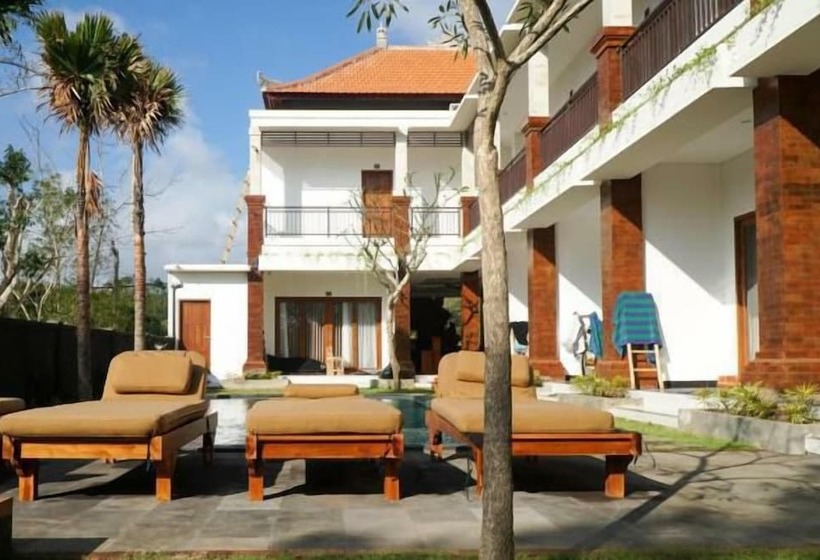 膳宿费 Seno Guesthouse & Cafe